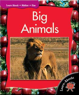 Cover Art for Big Animals