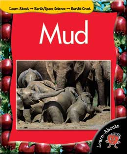 Cover Art for Mud