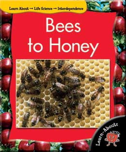 Cover Art for Bees To Honey